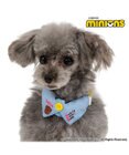 PET PARADISE ミニオン デニム襟付き首輪 Ｓ