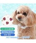 PET PARADISE ペットパラダイス 28℃クールリング  《いちご》 ＳＳ 小型犬