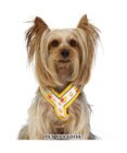 PET PARADISE 犬 ハーネス ディズニー くまのプーさん アクティブハーネス 【ＳＳ】