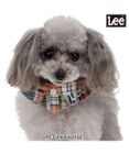 PET PARADISE Lee チェック襟付 首輪 Ｓ 小型犬