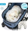 PET PARADISE ペットパラダイス クール ピロー 《くまちゃん柄》