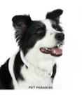 PET PARADISE クールリング 犬 クールネック ひんやり 28℃クールリング 【Ｍ】 リフレクター 水色 ベージュ 反射材付き