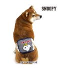 PET PARADISE スヌーピー&ウッドストック　マナーベルト 中型犬 大型犬