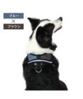 PET PARADISE ヘッドインハーネス 【Ｌ】 オレンジ / ブルー  【大型犬】