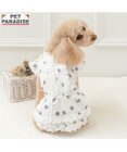 PET PARADISE ペットパラダイス 背中開き フリル ワンピース 《ドット柄》 小型犬