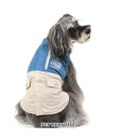 PET PARADISE J.PRESS ライトベスト ブルー 小型犬