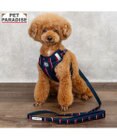 PET PARADISE J.PRESS  レジメンタル ハーネス＆リード 小型犬 Ｓ