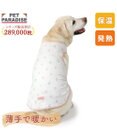 PET PARADISE ペットパラダイス ペティヒート天竺 タンクトップ 《さくらんぼ柄》  中型犬 大型犬