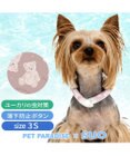 PET PARADISE ペットパラダイス 28℃クールリング 《くま》 ３Ｓ 小型犬