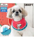 PET PARADISE スヌーピー クールバンダナ 《スイカ柄》 小型犬