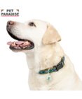 PET PARADISE ペットパラダイス チェック柄 首輪 Ｌ 大型犬