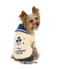 PET PARADISE 犬 服 ディズニー ミッキーマウス ニット 【小型犬】 リッチ もこもこ
