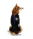 PET PARADISE ペットパラダイス 背開き ベスト 刺繍 中型犬 大型犬