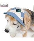 PET PARADISE ペットパラダイス アーガイル柄 帽子 ＳＭ～Ｍ/Ｌ