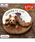 PET PARADISE リサとガスパール 遠赤外線 くつろぎマット Ｓ