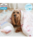 PET PARADISE ディズニー ミニーマウス もちっと クール ブランケット 《ハート柄》