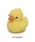 PET PARADISE ペットパラダイス あひる ラテックス トイ