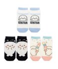Mother garden ネット店 しろたん 靴下 3足セット 2026春 17～20cm