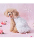 PET PARADISE cherircouture メニーローズ ワンピース ホワイト 小型犬