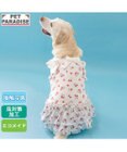 PET PARADISE ペットパラダイス  エコメイド ワンピース 《苺柄》 中型犬 大型犬