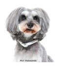 PET PARADISE クールリング 犬 クールネック ひんやり 28℃クールリング 【Ｓ】 リフレクター 水色 ベージュ  反射材付き