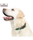 PET PARADISE ペットパラダイス チェック柄 首輪 ＳＭ 中型犬