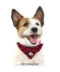 PET PARADISE ディズニー ミッキーマウス プルート  散歩柄首輪【３Ｓ】 小型犬