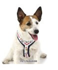 PET PARADISE ディズニー アクティブハーネス 【３Ｓ】 小型犬