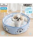 PET PARADISE スヌーピー クールカップ 《ブラザーズ》 Ｍ