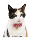 PET PARADISE ペットパラダイス 猫 首輪 ギンガムチェック 《レッド》 小サイズ/中サイズ