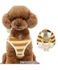 PET PARADISE ペットパラダイス ベストハーネス 《蜂》 4S 3S 超小型犬 小型犬