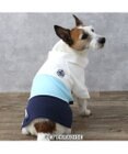PET PARADISE J.PRESS スキッパーポロシャツ トリコロール 小型犬