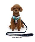 PET PARADISE J.PRESS マドラスチェック ハーネス＆リード ＳＳ
