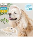 PET PARADISE ペットパラダイス レース クール ハット ＳＭ～Ｍ/Ｌ 中型犬 大型犬