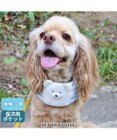 PET PARADISE クールネック バンダナ《 ボタニカル/ しろくま/シフォン襟》 保冷剤付き 【中型犬】【大型犬】