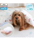 PET PARADISE ペットパラダイス もちっと クール ブランケット 《苺柄》