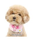 PET PARADISE ディズニー くまのプーさん 《ピグレット にこにこ》 首輪 Ｓ  小型犬