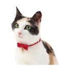 PET PARADISE 猫用 首輪 コーデュロイ 【小】 【中】  レッド
