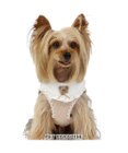 PET PARADISE ペットパラダイス くまちゃん ベストハーネス ４Ｓ 小型犬