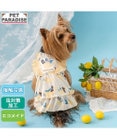 PET PARADISE リサとガスパール エコメイド シトラス ワンピース 小型犬