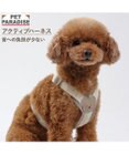 PET PARADISE ペットパラダイス くまちゃん アクティブハーネス Ｓ 小型犬
