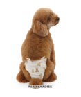 PET PARADISE ペットパラダイス サニタリーパンツ 《くまちゃん柄》 小型犬