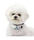 PET PARADISE リサとガスパール  襟付き 首輪《であい柄》 ３Ｓ 小型犬