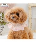 PET PARADISE ペットパラダイス チェック柄 スタイ 《ピンク》 小型犬