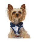 PET PARADISE リサとガスパール ベストハーネス  であい柄 ３Ｓ 小型犬