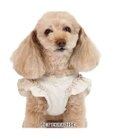 PET PARADISE ペットパラダイス ベストハーネス 《フリル》 SS 小型犬