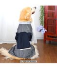 PET PARADISE ペットパラダイス 黒白 浴衣 とんぼ刺繍 中型犬 大型犬