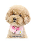 PET PARADISE ディズニー くまのプーさん 《ピグレット にこにこ》 首輪 ３Ｓ  小型犬