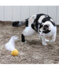 PET PARADISE ペットパラダイス 猫 羊毛ボール 羽付き 【単品】