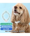 PET PARADISE ペットパラダイス 28℃クールリング SUO 《くま柄》 〔ＳＭ〕 中型犬